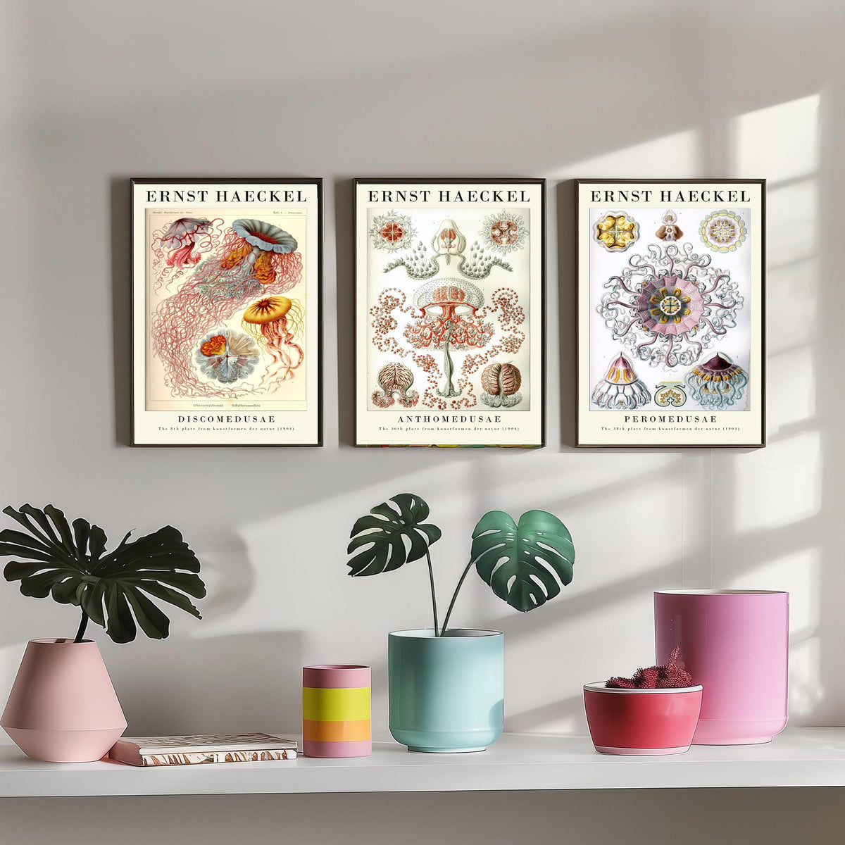 Ernst Haeckel Set of Three Gallery Art Prints - 3 Sea Nettle Flower and Crown Jellyfish Posters - Red Vintage Illustration
