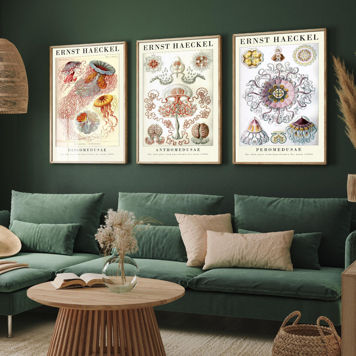 Ernst Haeckel Set of Three Gallery Art Prints - 3 Sea Nettle Flower and Crown Jellyfish Posters - Red Vintage Illustration