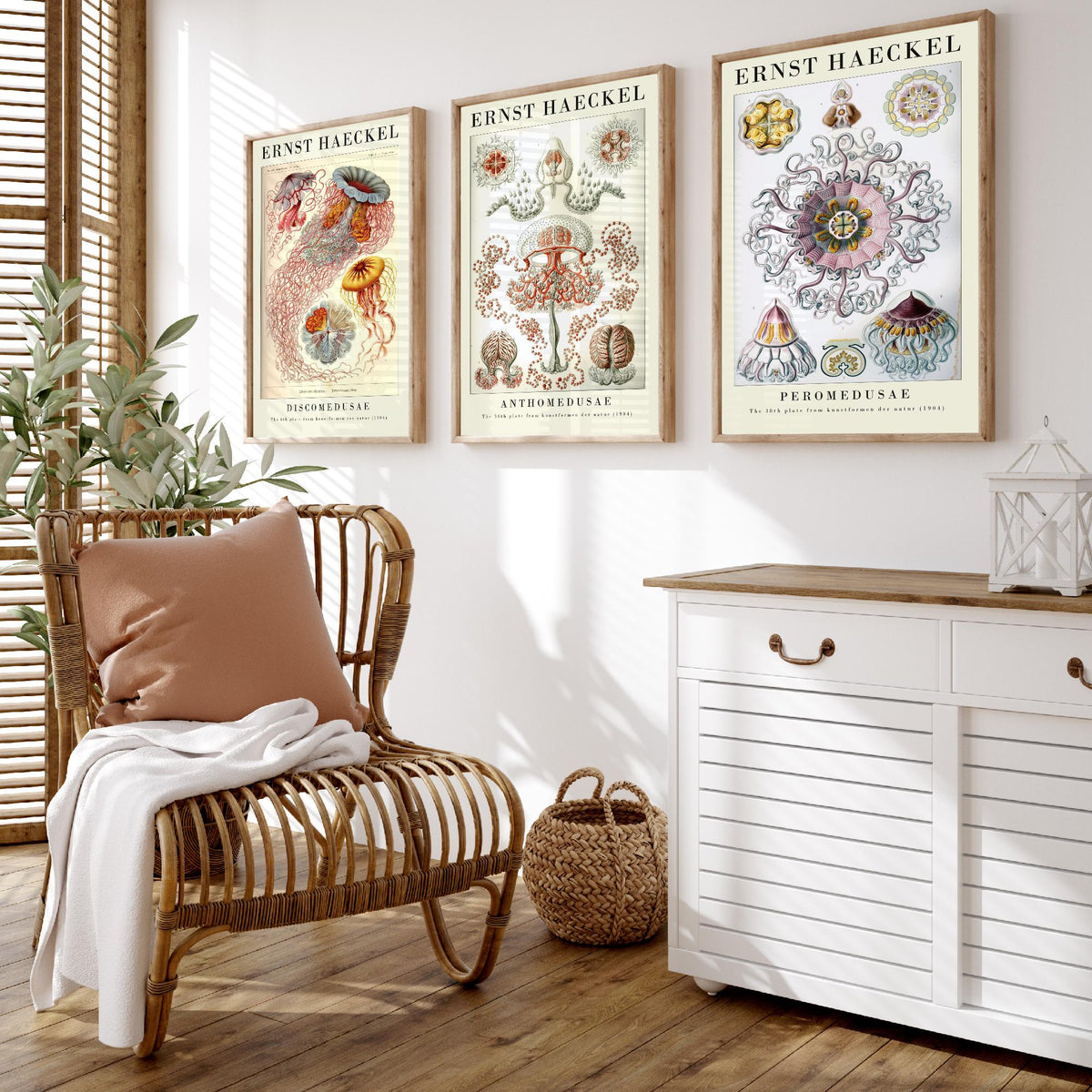 Ernst Haeckel Set of Three Gallery Art Prints - 3 Sea Nettle Flower and Crown Jellyfish Posters - Red Vintage Illustration