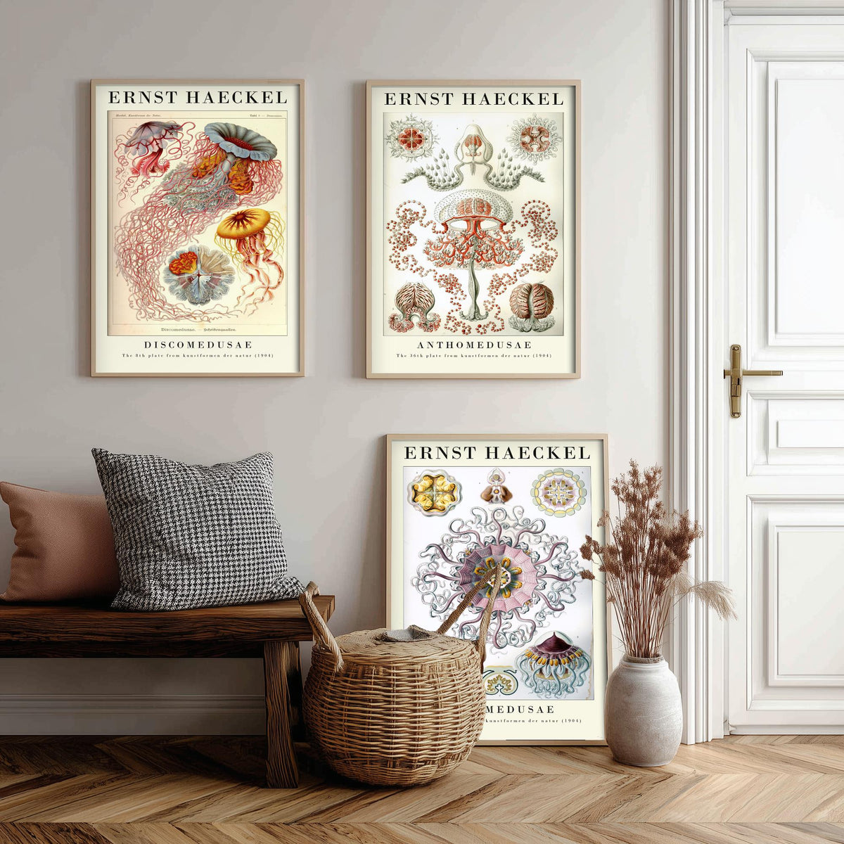 Ernst Haeckel Set of Three Gallery Art Prints - 3 Sea Nettle Flower and Crown Jellyfish Posters - Red Vintage Illustration