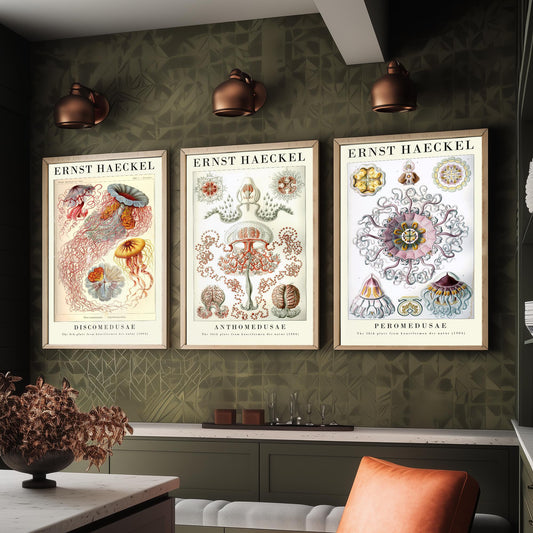 Ernst Haeckel Set of Three Gallery Art Prints - 3 Sea Nettle Flower and Crown Jellyfish Posters - Red Vintage Illustration
