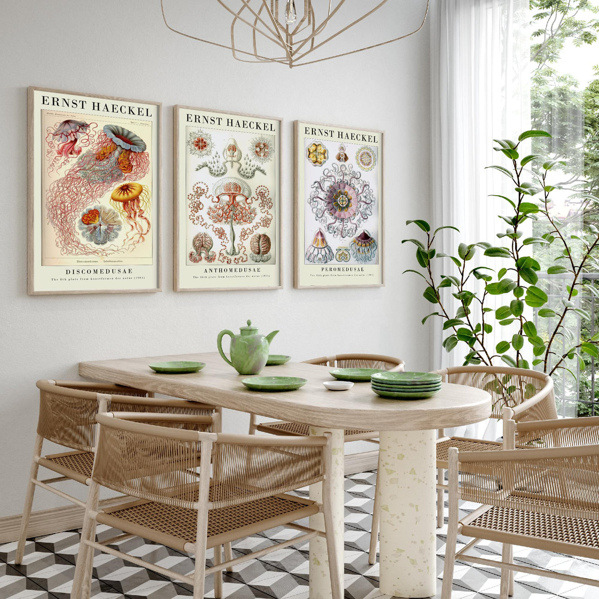 Ernst Haeckel Set of Three Gallery Art Prints - 3 Sea Nettle Flower and Crown Jellyfish Posters - Red Vintage Illustration