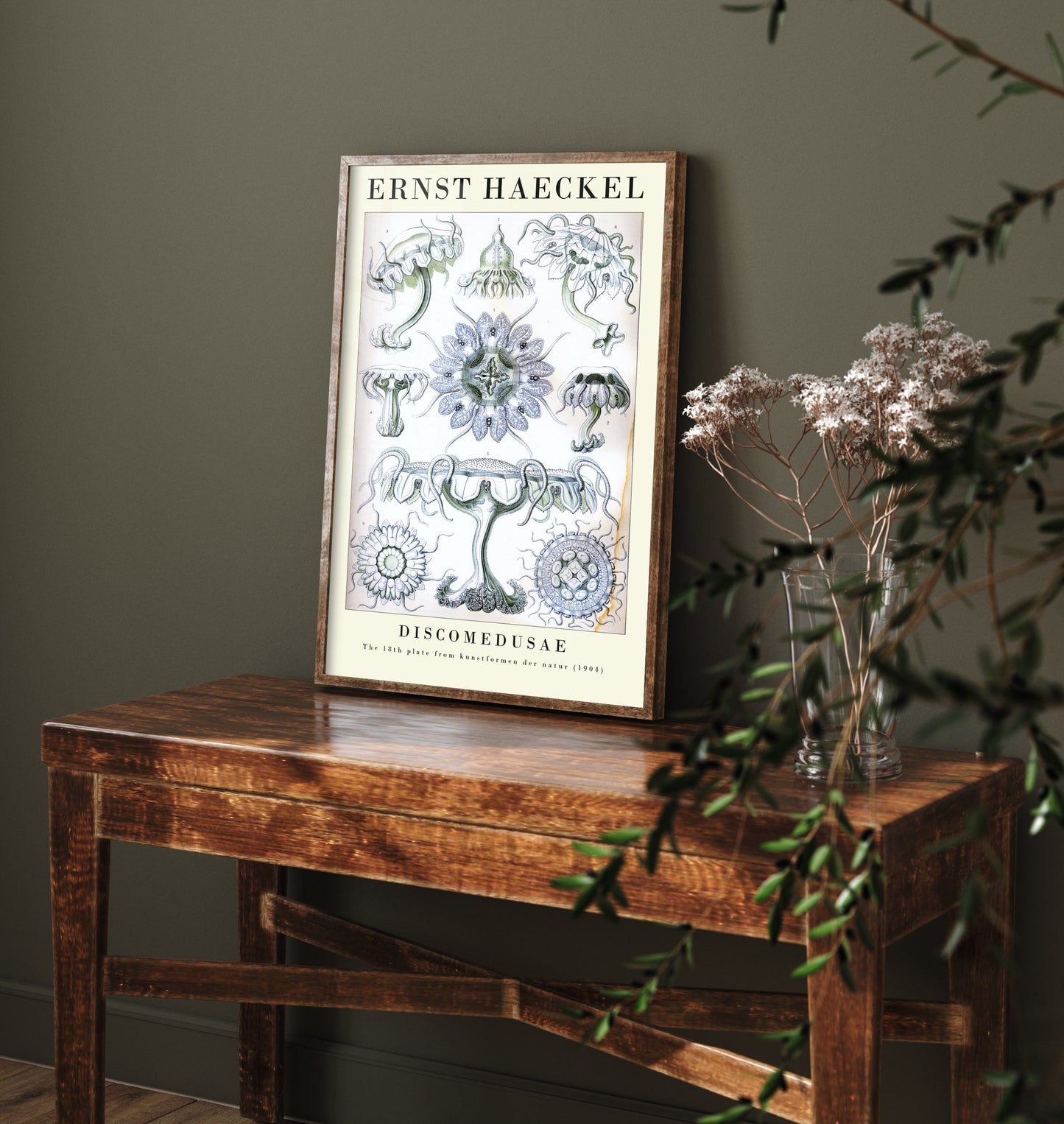 Jellyfish Art Print - Ernst Haeckel Poster - Discomedusae Plate 18 - Art Forms in Nature Vintage Illustration