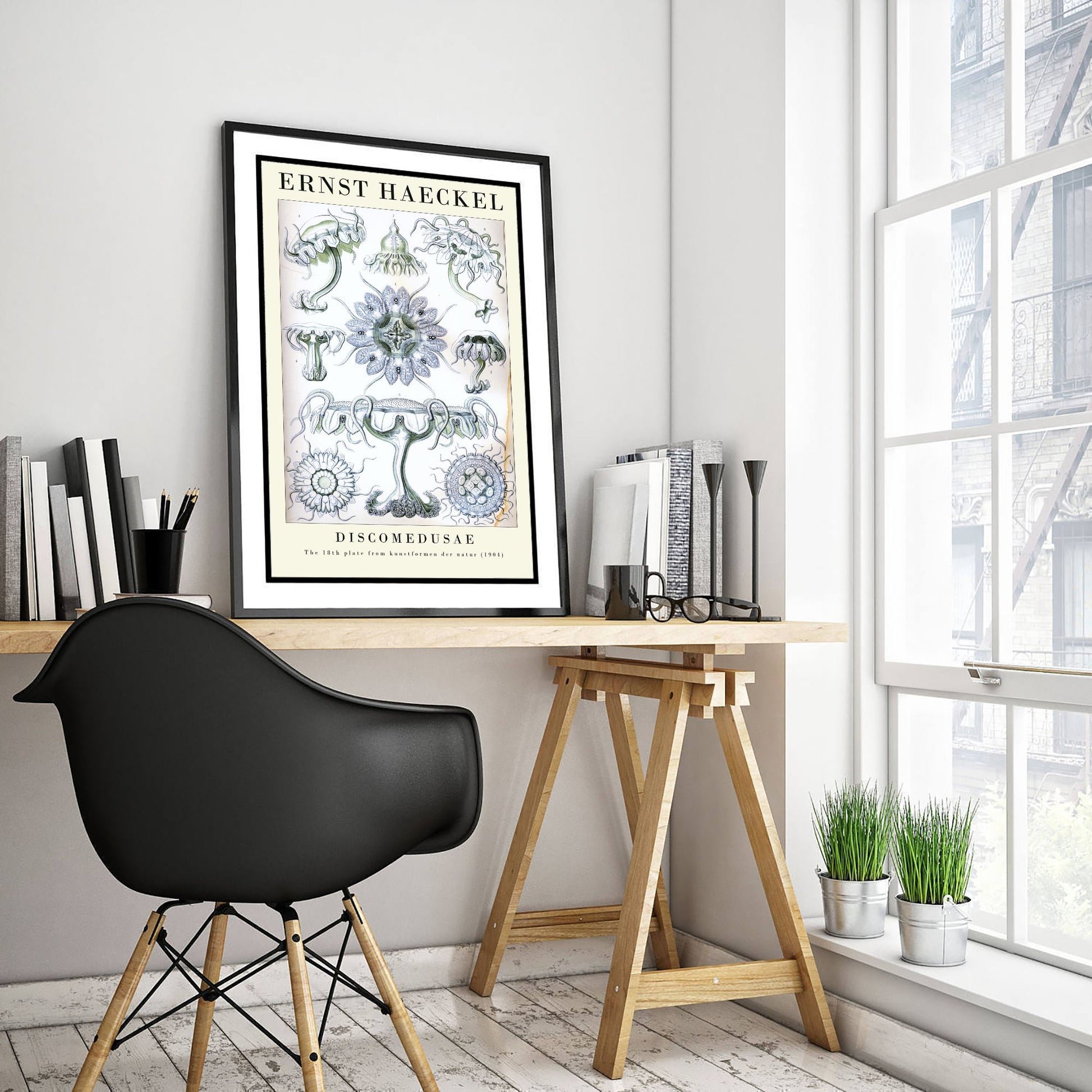Jellyfish Art Print - Ernst Haeckel Poster - Discomedusae Plate 18 - Art Forms in Nature Vintage Illustration