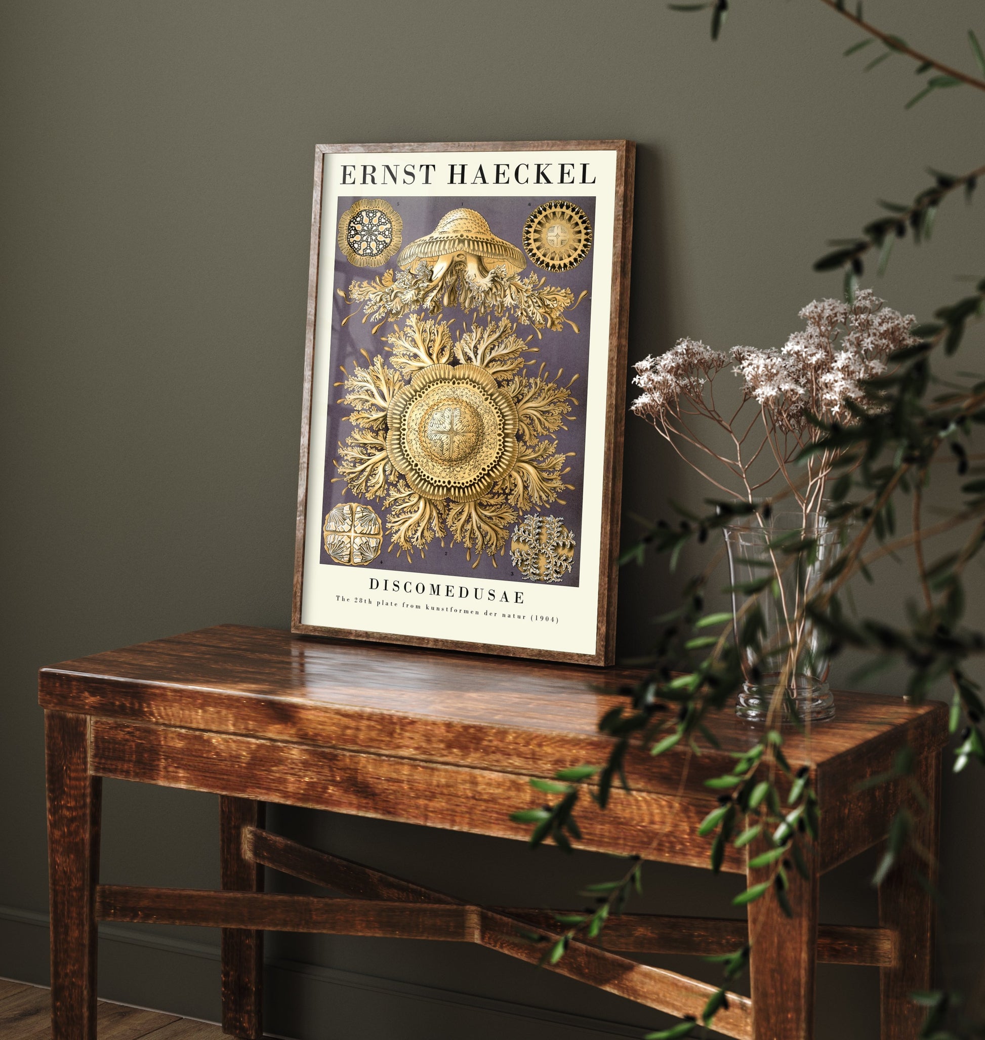 Jellyfish Poster - Ernst Haeckel Art Print - Golden Discomedusae Plate 28 - Art Forms in Nature Illustration