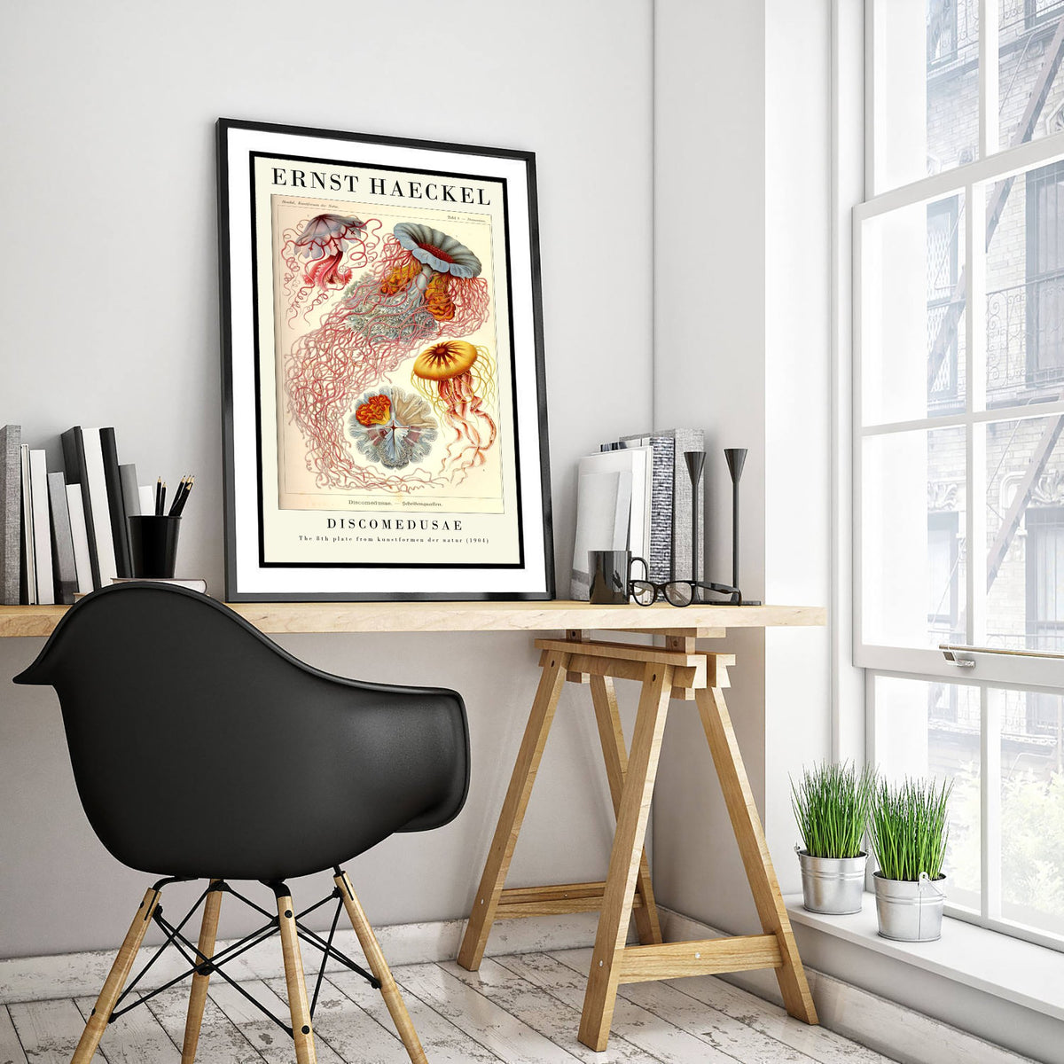 Jellyfish Art Print - Ernst Haeckel Poster - Discomedusae Plate 8 - Blue & Orange Art Forms in Nature Illustration