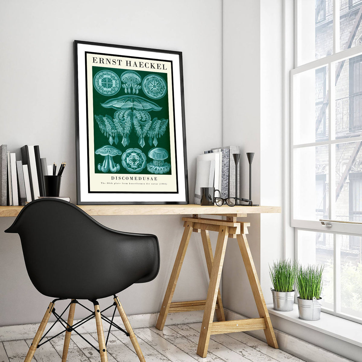 Jellyfish Art Print - Ernst Haeckel Poster - Discomedusae Plate 88 - Art Forms in Nature Vintage Illustration
