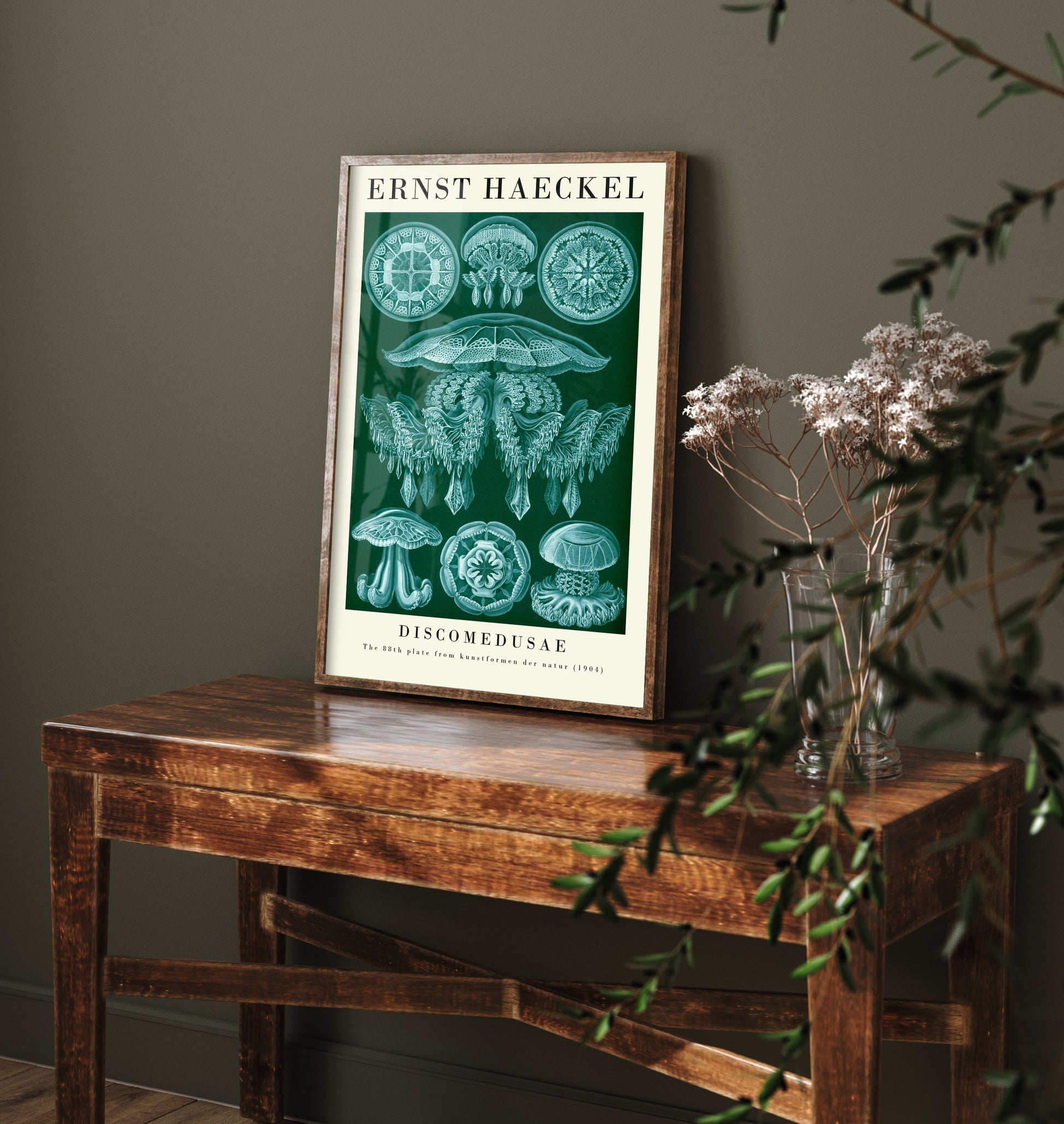 Jellyfish Art Print - Ernst Haeckel Poster - Discomedusae Plate 88 - Art Forms in Nature Vintage Illustration