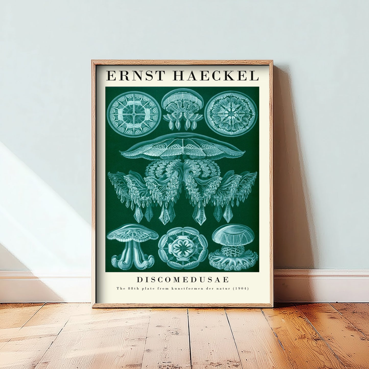 Jellyfish Art Print - Ernst Haeckel Poster - Discomedusae Plate 88 - Art Forms in Nature Vintage Illustration