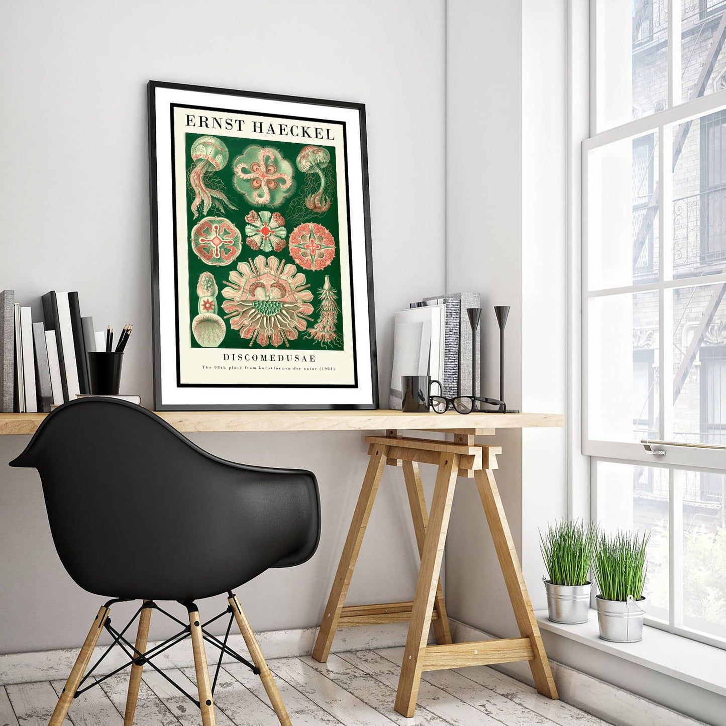 Pink Jellyfish Art Print - Ernst Haeckel Poster - Discomedusae Plate 98 - Art Forms in Nature Vintage Illustration