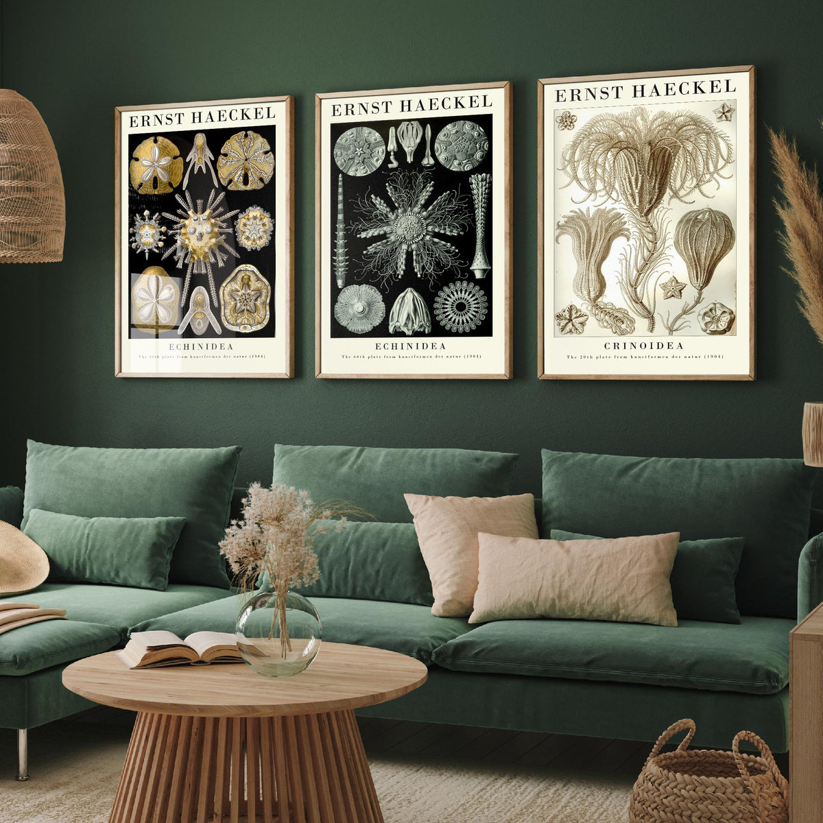 Ernst Haeckel Set of Three Gallery Art Prints - 3 Sand Dollar Sea Urchin and Sea Lily Posters - Gold Vintage Illustration