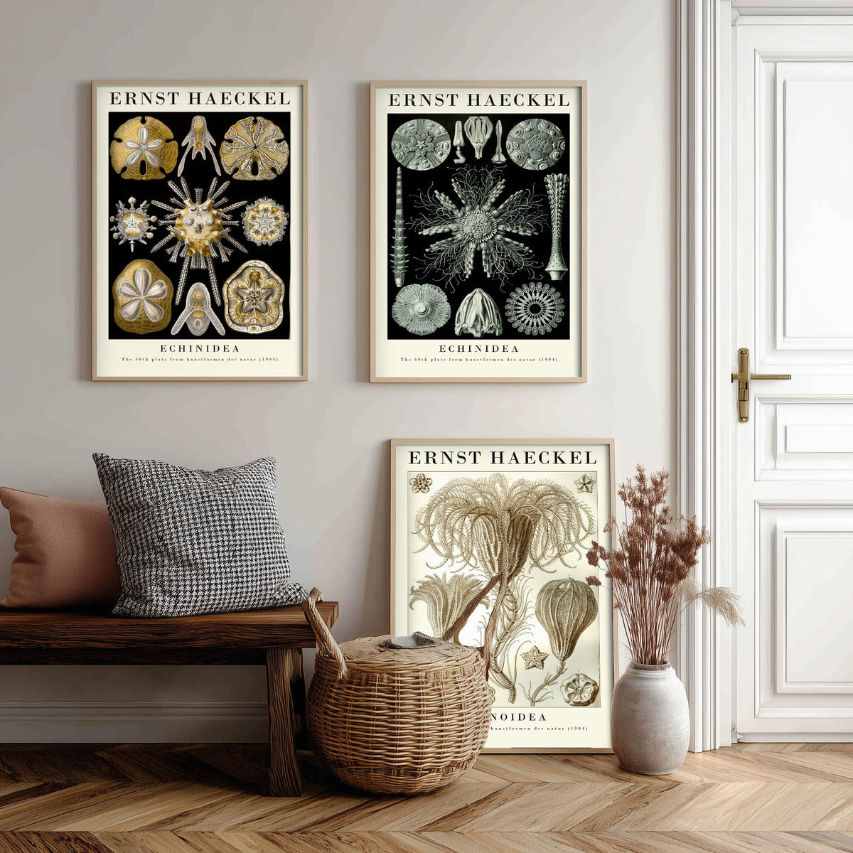 Ernst Haeckel Set of Three Gallery Art Prints - 3 Sand Dollar Sea Urchin and Sea Lily Posters - Gold Vintage Illustration