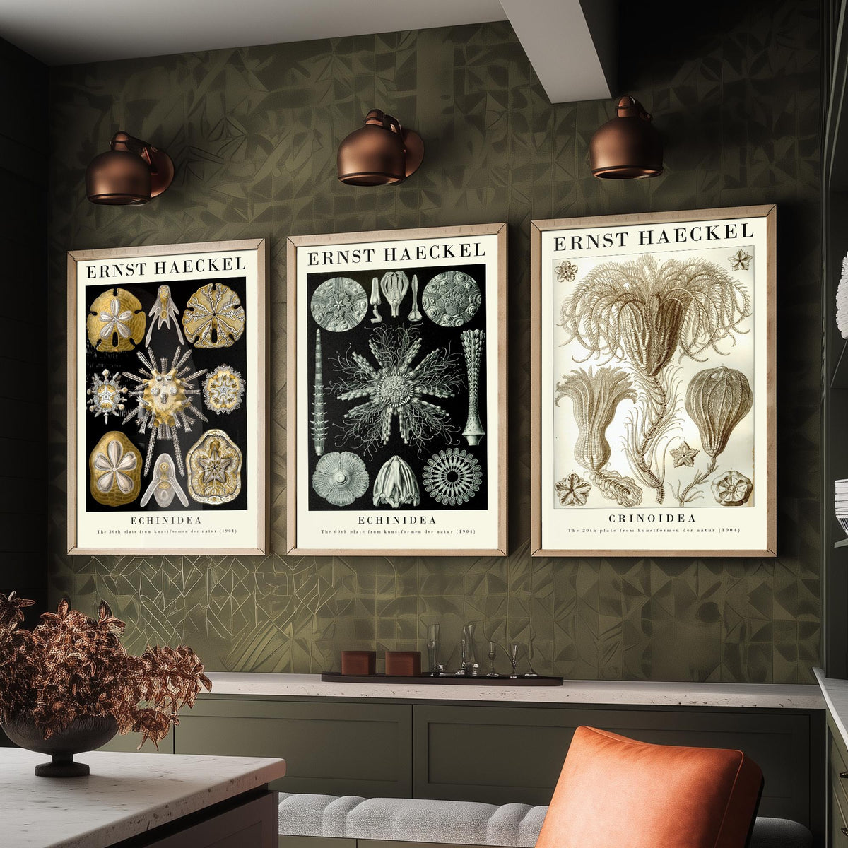 Ernst Haeckel Set of Three Gallery Art Prints - 3 Sand Dollar Sea Urchin and Sea Lily Posters - Gold Vintage Illustration
