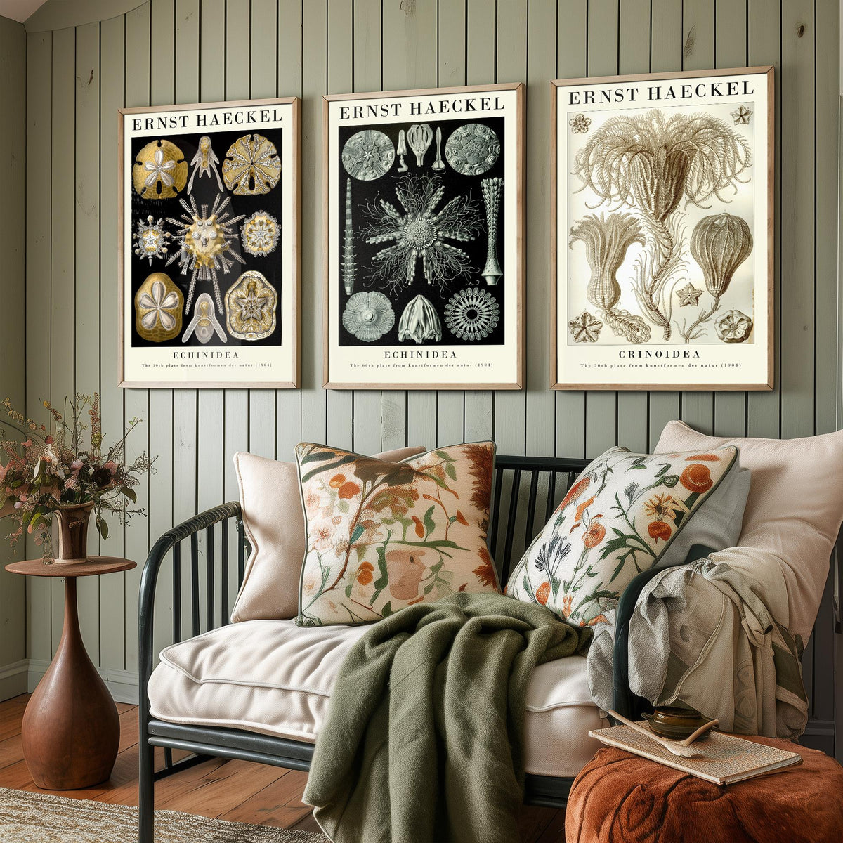 Ernst Haeckel Set of Three Gallery Art Prints - 3 Sand Dollar Sea Urchin and Sea Lily Posters - Gold Vintage Illustration