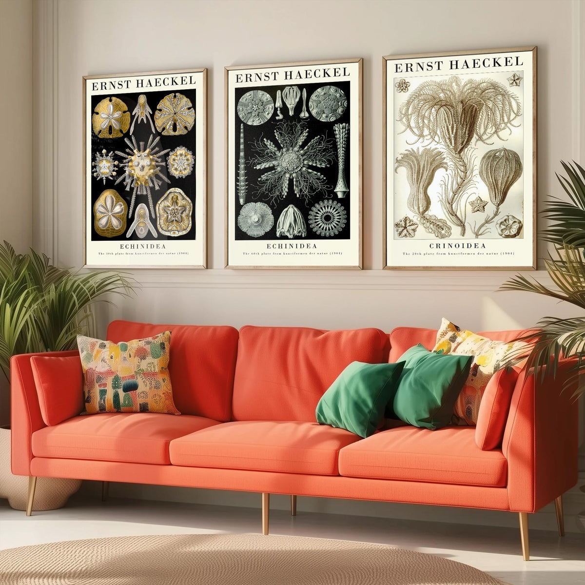 Ernst Haeckel Set of Three Gallery Art Prints - 3 Sand Dollar Sea Urchin and Sea Lily Posters - Gold Vintage Illustration