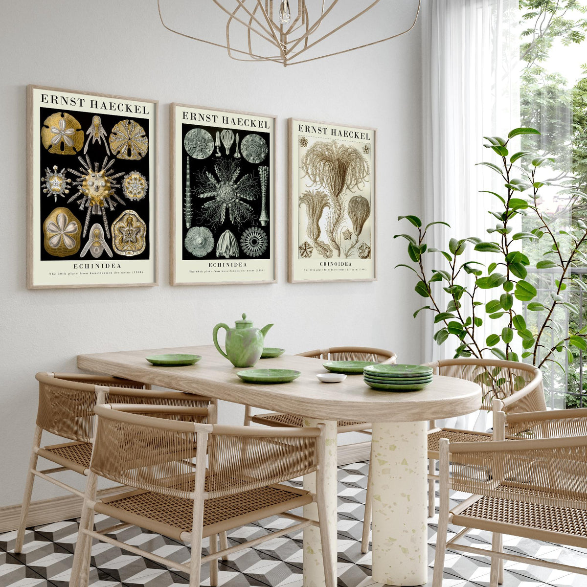 Ernst Haeckel Set of Three Gallery Art Prints - 3 Sand Dollar Sea Urchin and Sea Lily Posters - Gold Vintage Illustration