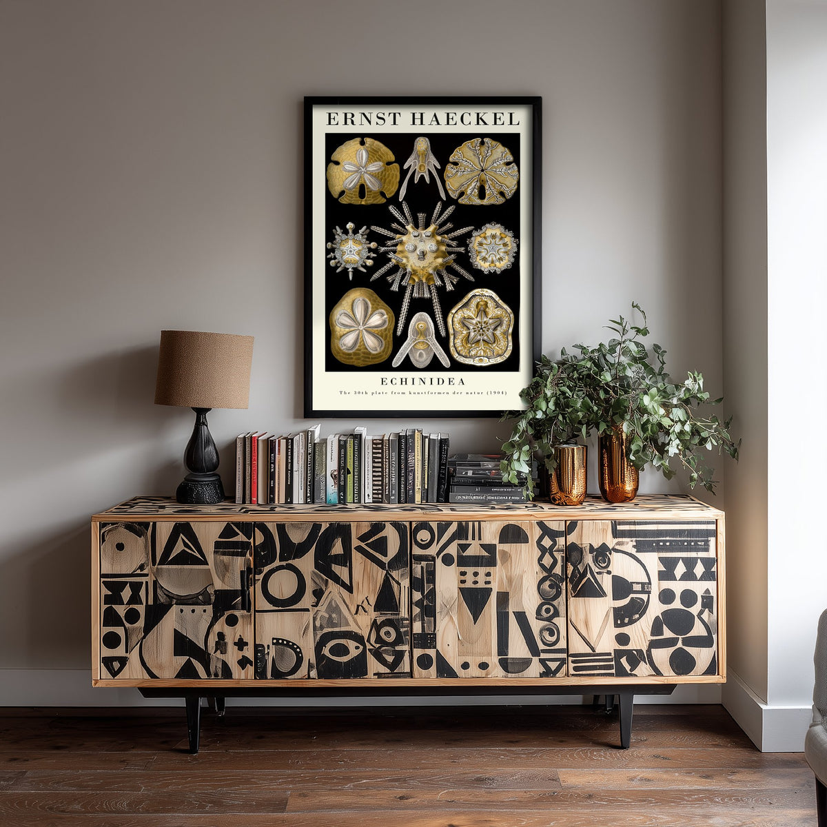 Sea Urchins Sand Dollar Art Print - Ernst Haeckel Poster - Echinidea Plate 30 - Art Forms in Nature Illustration
