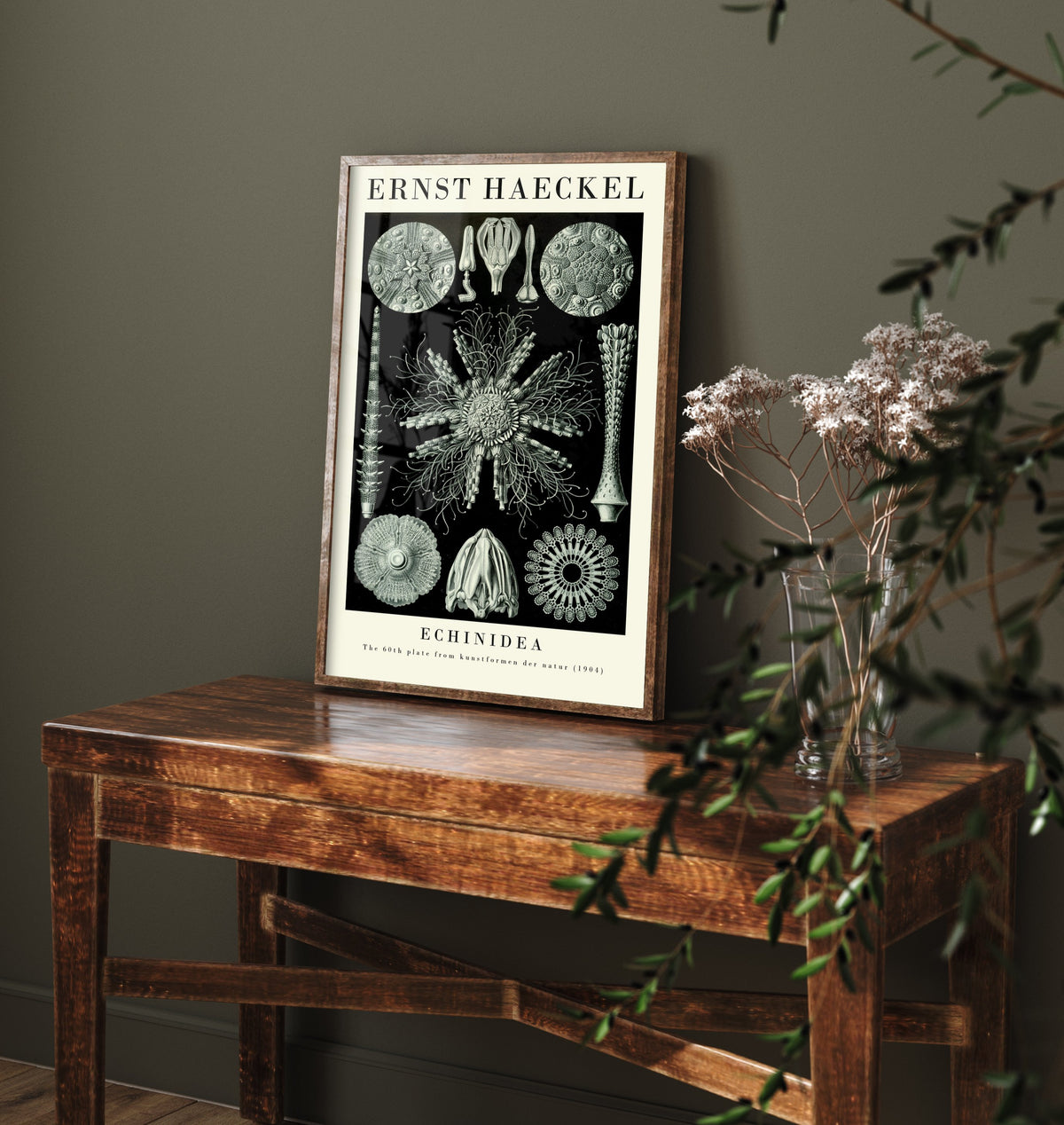 Sea Urchins Art Print - Ernst Haeckel Poster - Echinidea Plate 60 - Art Forms in Nature Vintage Illustration