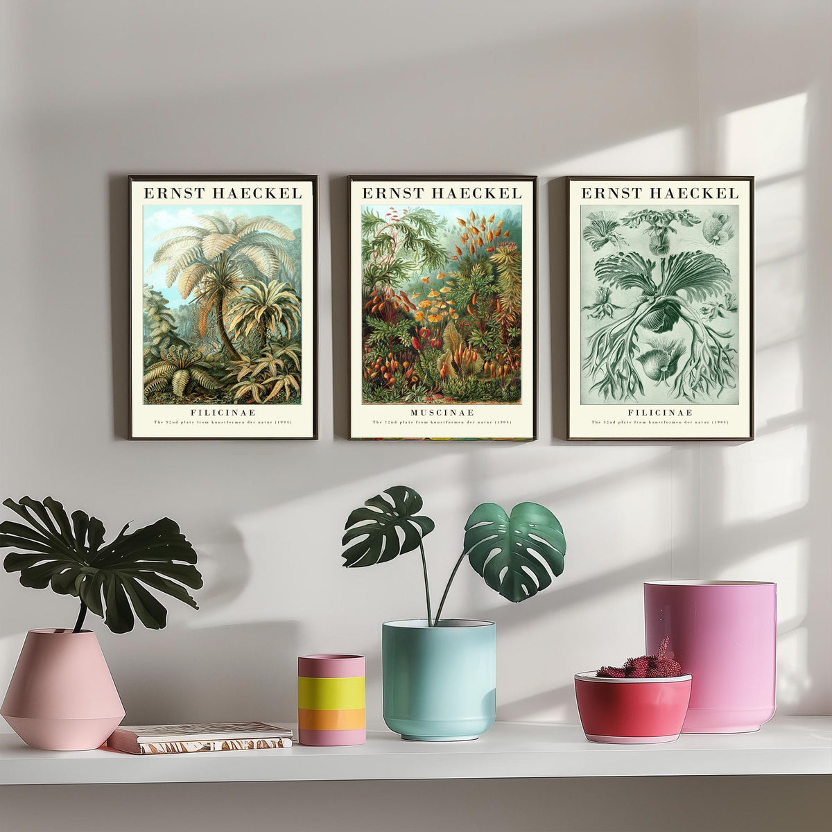 Ernst Haeckel Set of Three Gallery Art Prints - 3 Tree Fern Moss and Staghorn Fern Posters - Green Botanical Illustration
