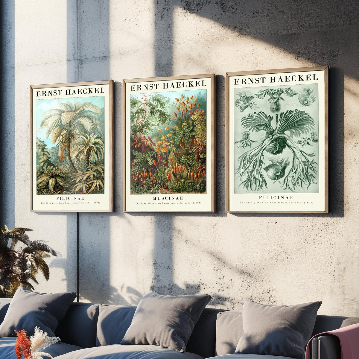 Ernst Haeckel Set of Three Gallery Art Prints - 3 Tree Fern Moss and Staghorn Fern Posters - Green Botanical Illustration