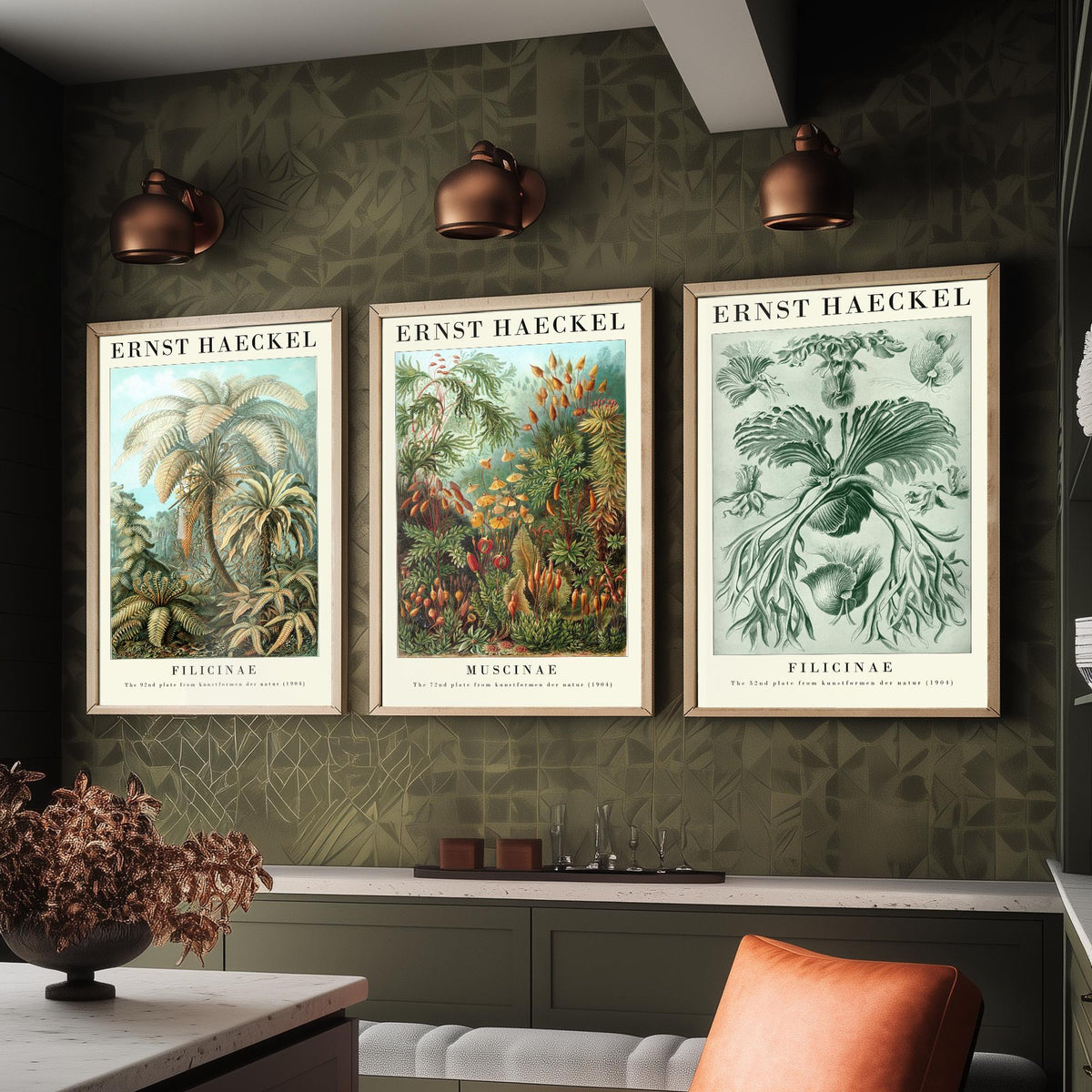 Ernst Haeckel Set of Three Gallery Art Prints - 3 Tree Fern Moss and Staghorn Fern Posters - Green Botanical Illustration