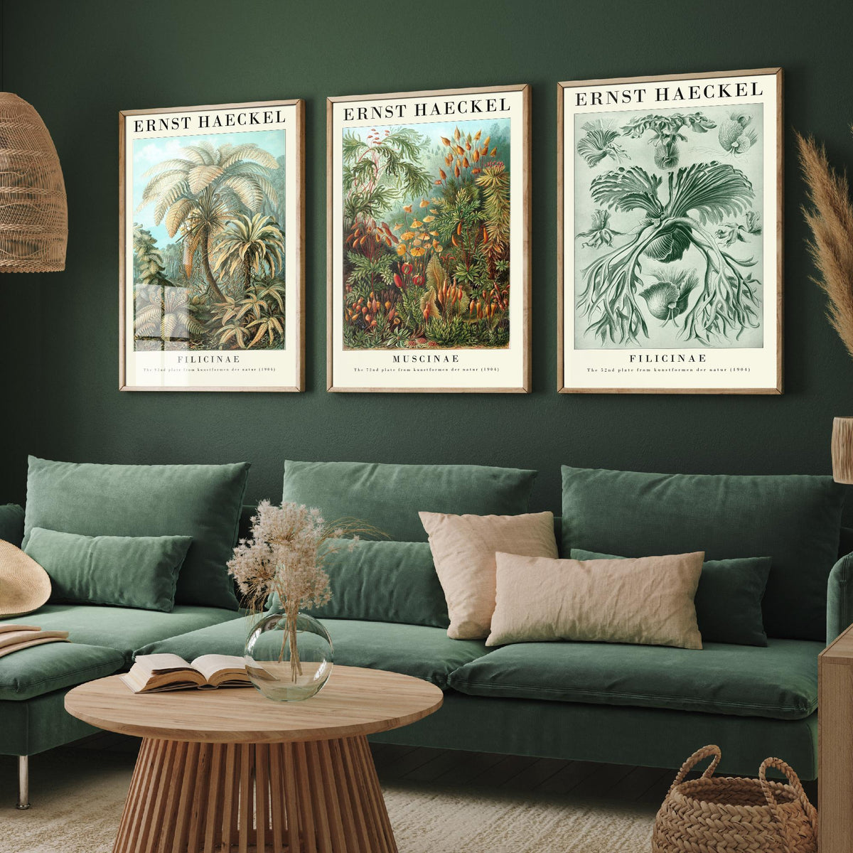 Ernst Haeckel Set of Three Gallery Art Prints - 3 Tree Fern Moss and Staghorn Fern Posters - Green Botanical Illustration