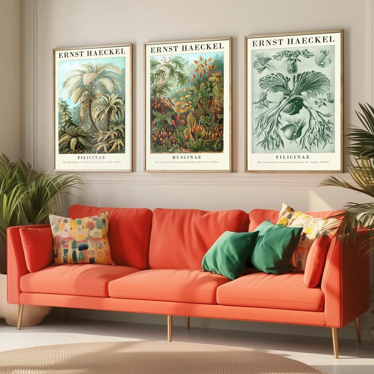 Ernst Haeckel Set of Three Gallery Art Prints - 3 Tree Fern Moss and Staghorn Fern Posters - Green Botanical Illustration