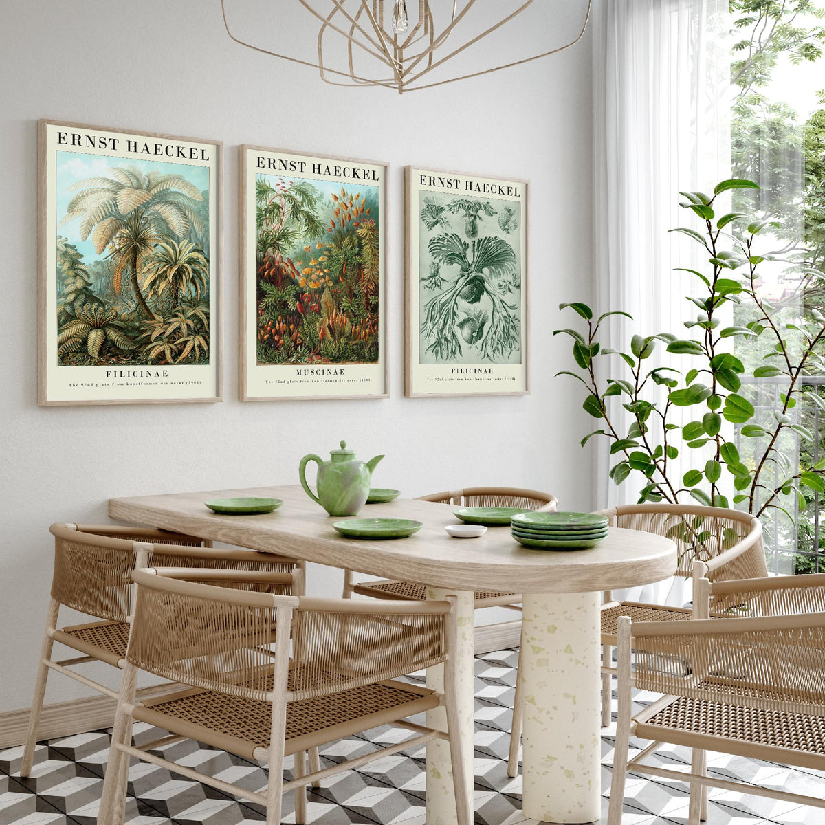 Ernst Haeckel Set of Three Gallery Art Prints - 3 Tree Fern Moss and Staghorn Fern Posters - Green Botanical Illustration