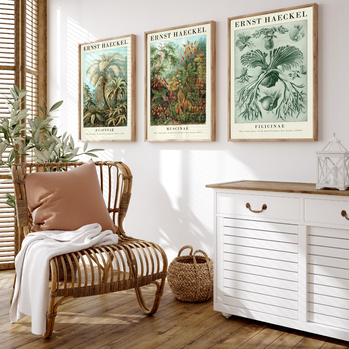 Ernst Haeckel Set of Three Gallery Art Prints - 3 Tree Fern Moss and Staghorn Fern Posters - Green Botanical Illustration