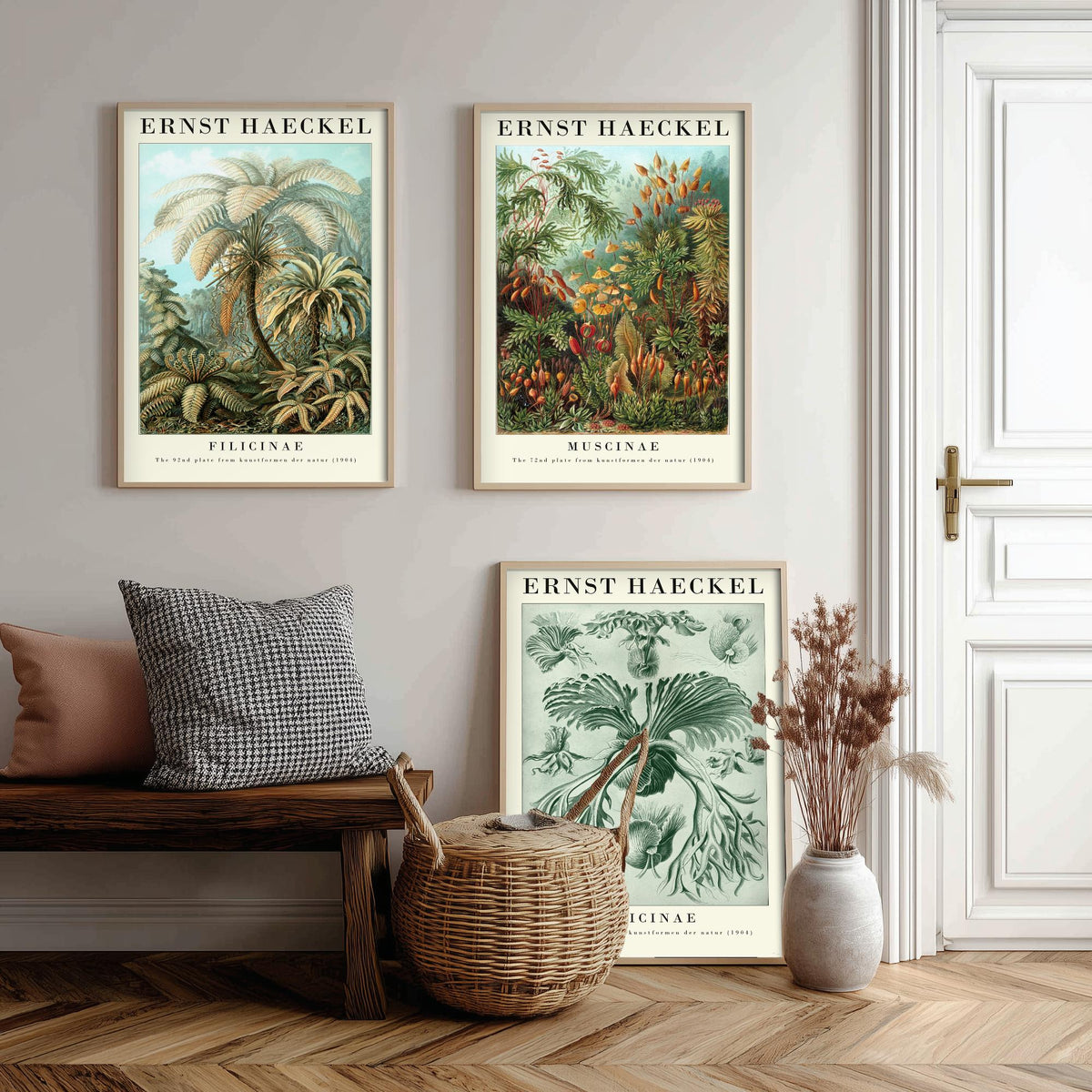 Ernst Haeckel Set of Three Gallery Art Prints - 3 Tree Fern Moss and Staghorn Fern Posters - Green Botanical Illustration