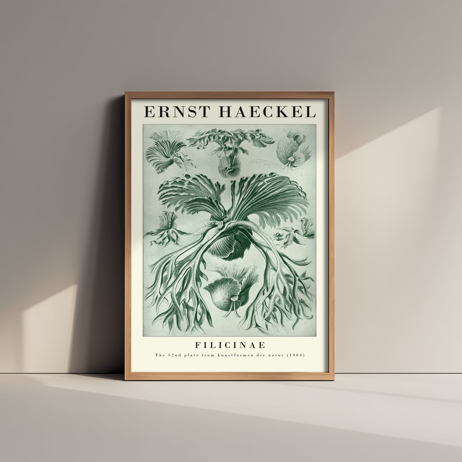 Ferns Art Print - Ernst Haeckel Poster - Filicinae Plate 52 - Art Forms in Nature Vintage Illustration