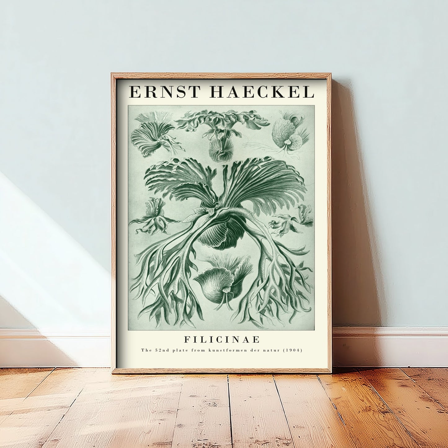 Ferns Art Print - Ernst Haeckel Poster - Filicinae Plate 52 - Art Forms in Nature Vintage Illustration