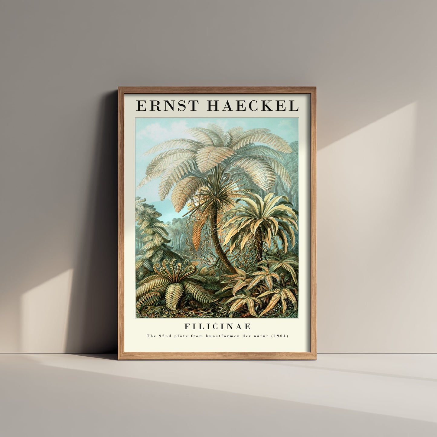 Tree Ferns Art Print - Ernst Haeckel Poster - Filicinae Plate 92 - Art Forms in Nature Vintage Illustration