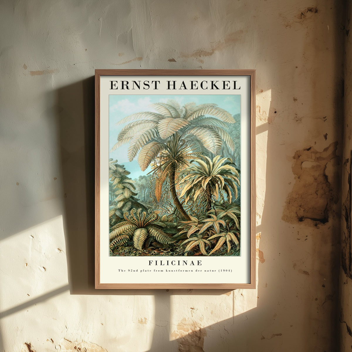 Tree Ferns Art Print - Ernst Haeckel Poster - Filicinae Plate 92 - Art Forms in Nature Vintage Illustration