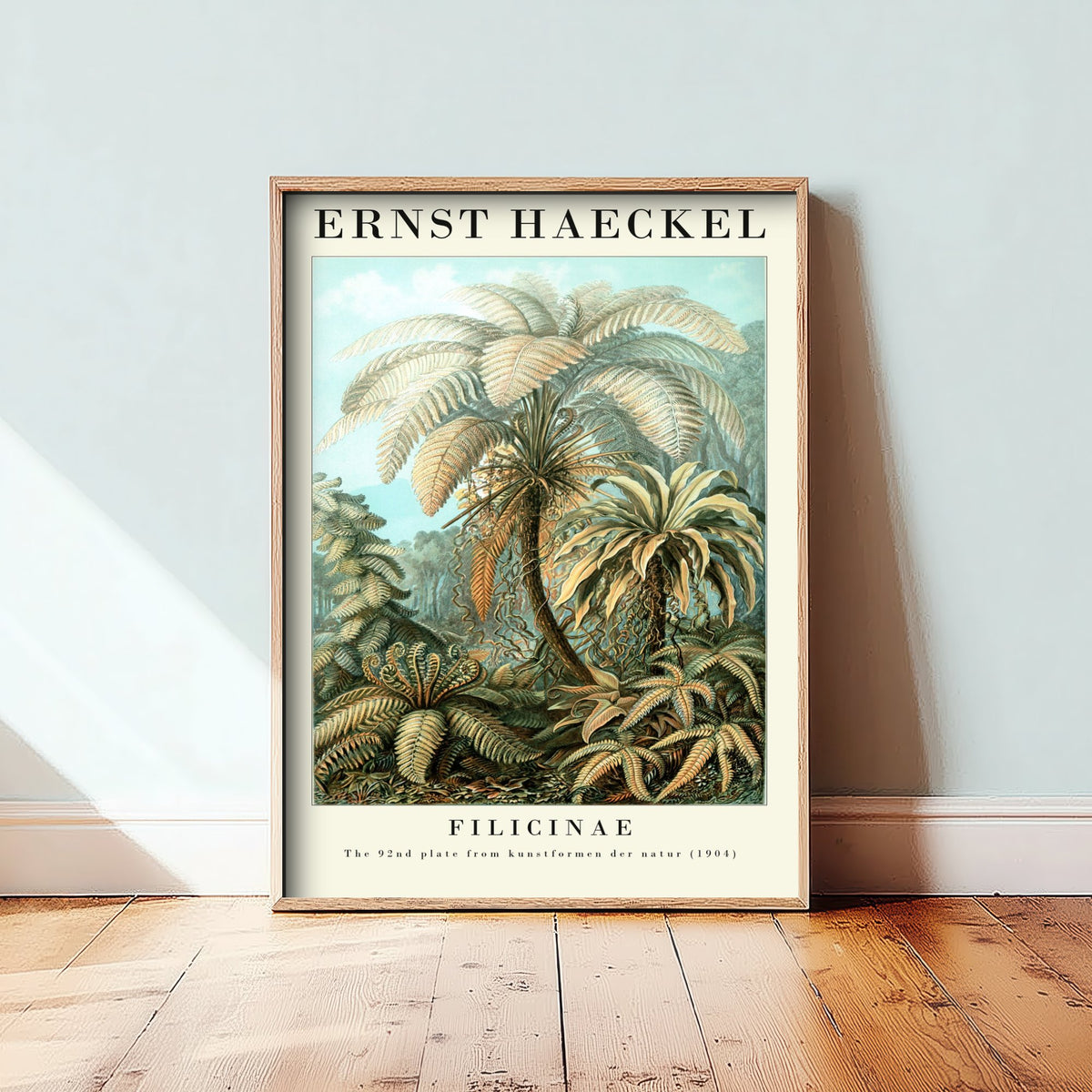 Tree Ferns Art Print - Ernst Haeckel Poster - Filicinae Plate 92 - Art Forms in Nature Vintage Illustration