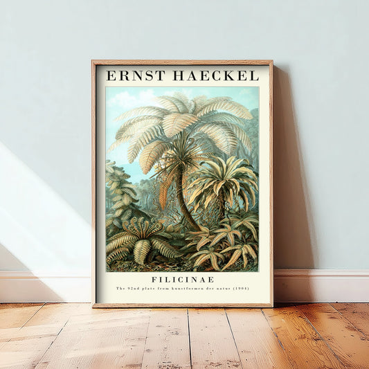 Tree Ferns Art Print - Ernst Haeckel Poster - Filicinae Plate 92 - Art Forms in Nature Vintage Illustration