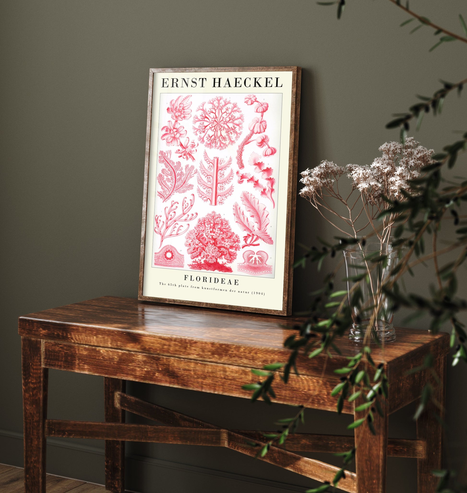 Red Seaweed Art Print - Ernst Haeckel Poster - Florideae Plate 65 - Art Forms in Nature Vintage Illustration