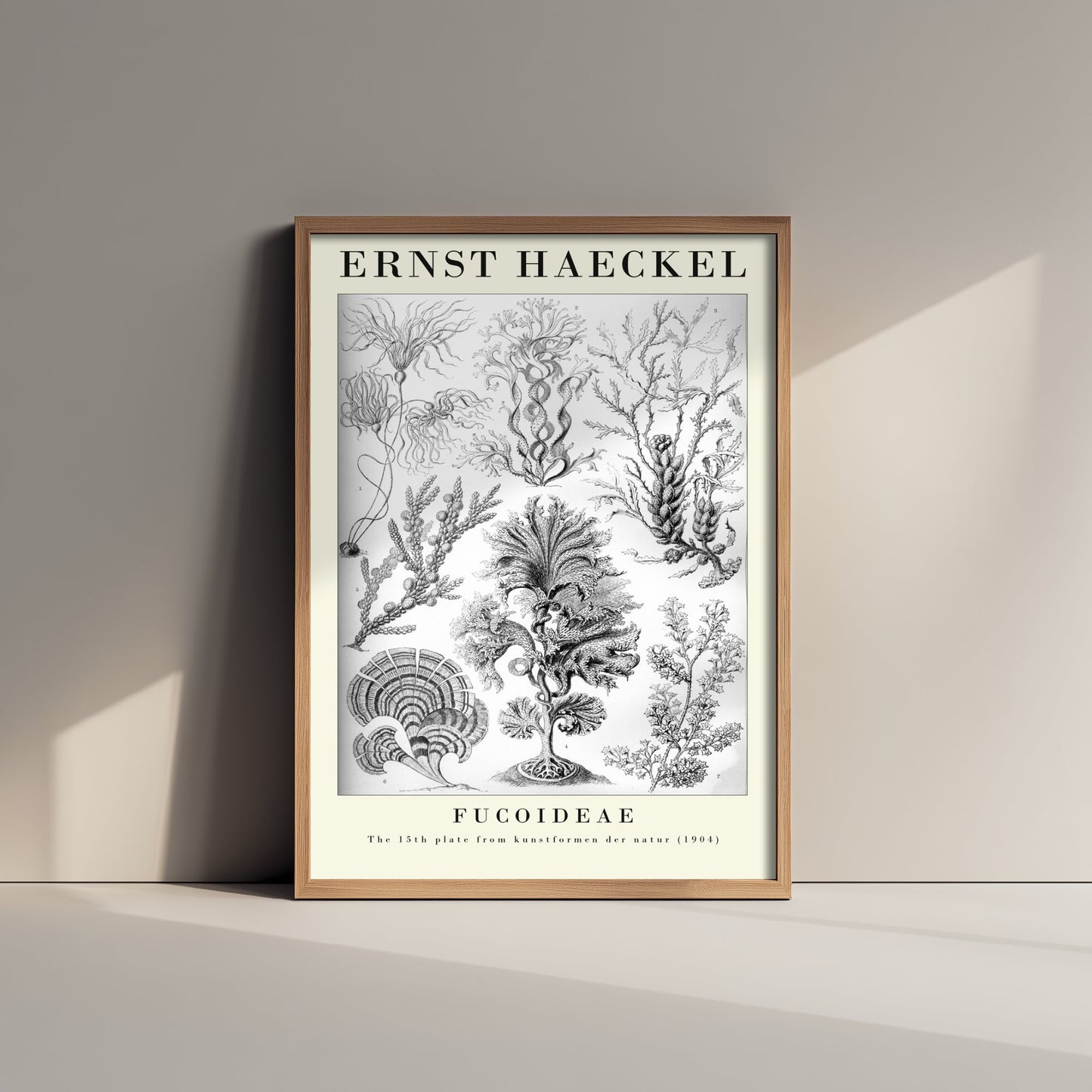Brown Seaweed Art Print - Ernst Haeckel Poster - Fucoideae Plate 15 - Art Forms in Nature Vintage Illustration