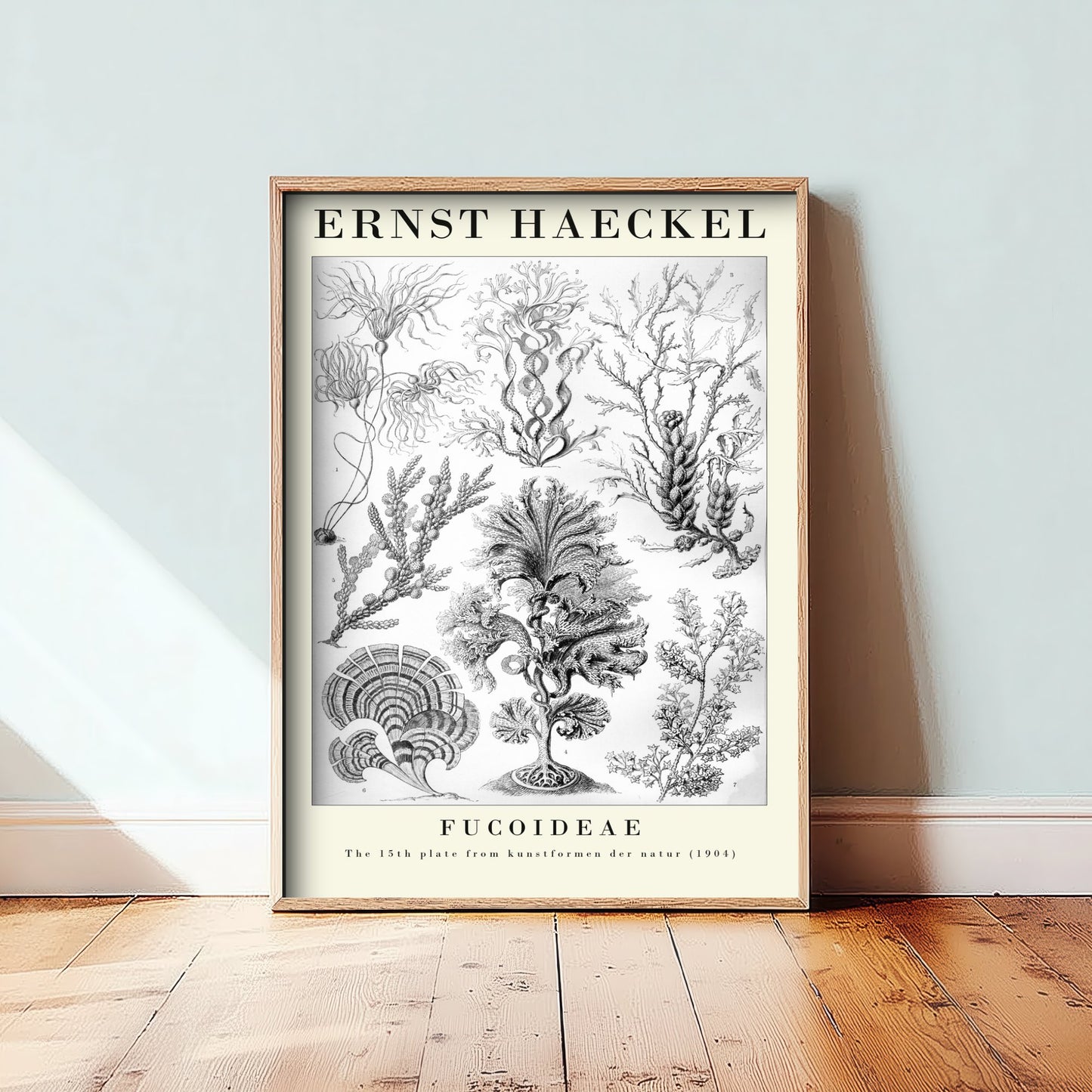 Brown Seaweed Art Print - Ernst Haeckel Poster - Fucoideae Plate 15 - Art Forms in Nature Vintage Illustration