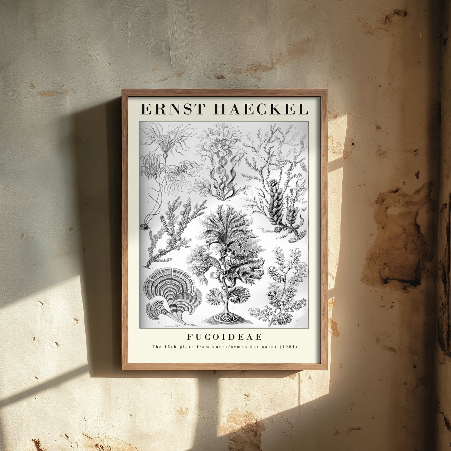 Brown Seaweed Art Print - Ernst Haeckel Poster - Fucoideae Plate 15 - Art Forms in Nature Vintage Illustration