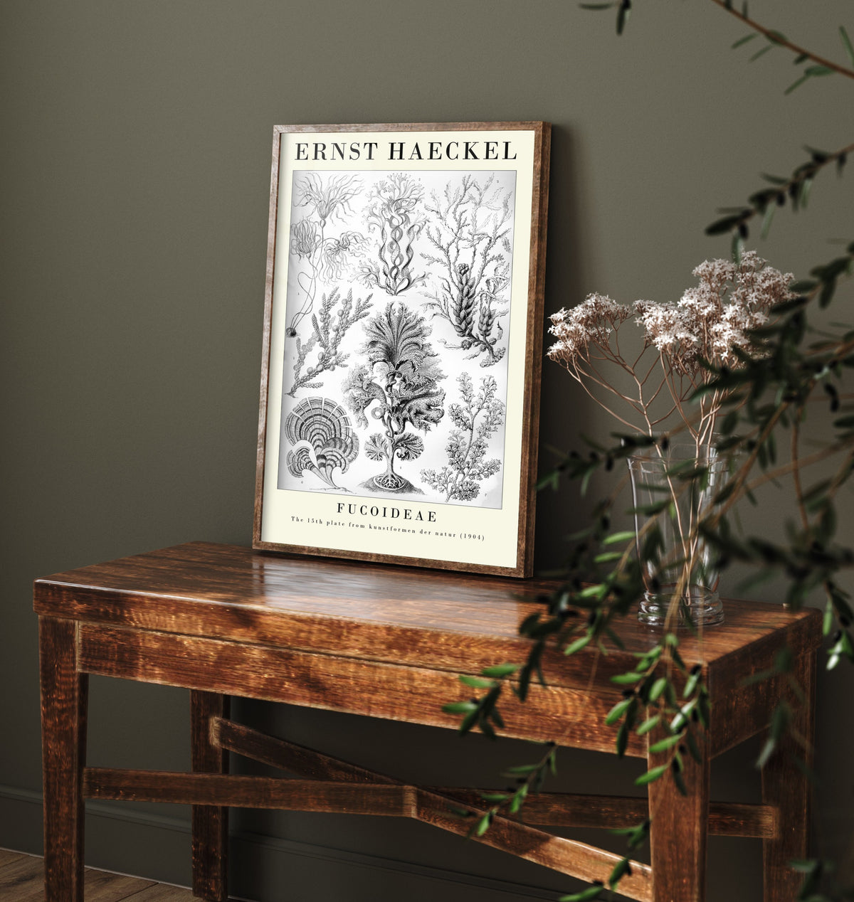 Brown Seaweed Art Print - Ernst Haeckel Poster - Fucoideae Plate 15 - Art Forms in Nature Vintage Illustration