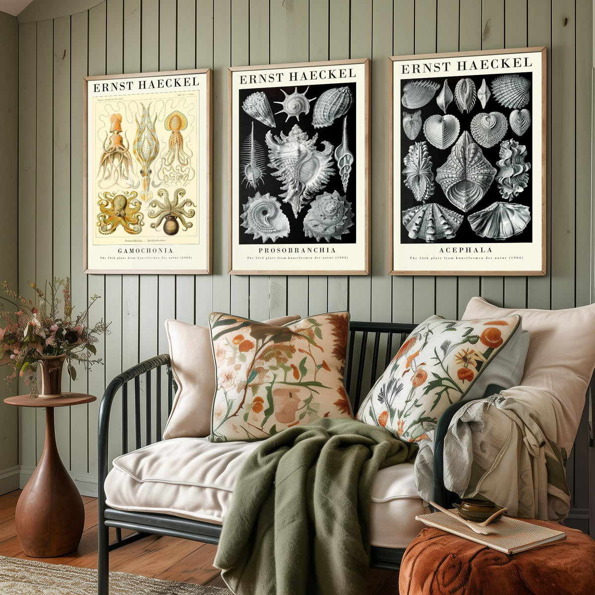 Ernst Haeckel Set of Three Gallery Art Prints - 3 Squid Sea Snail Clam Posters - Vintage Cephalopod Seashell Illustration