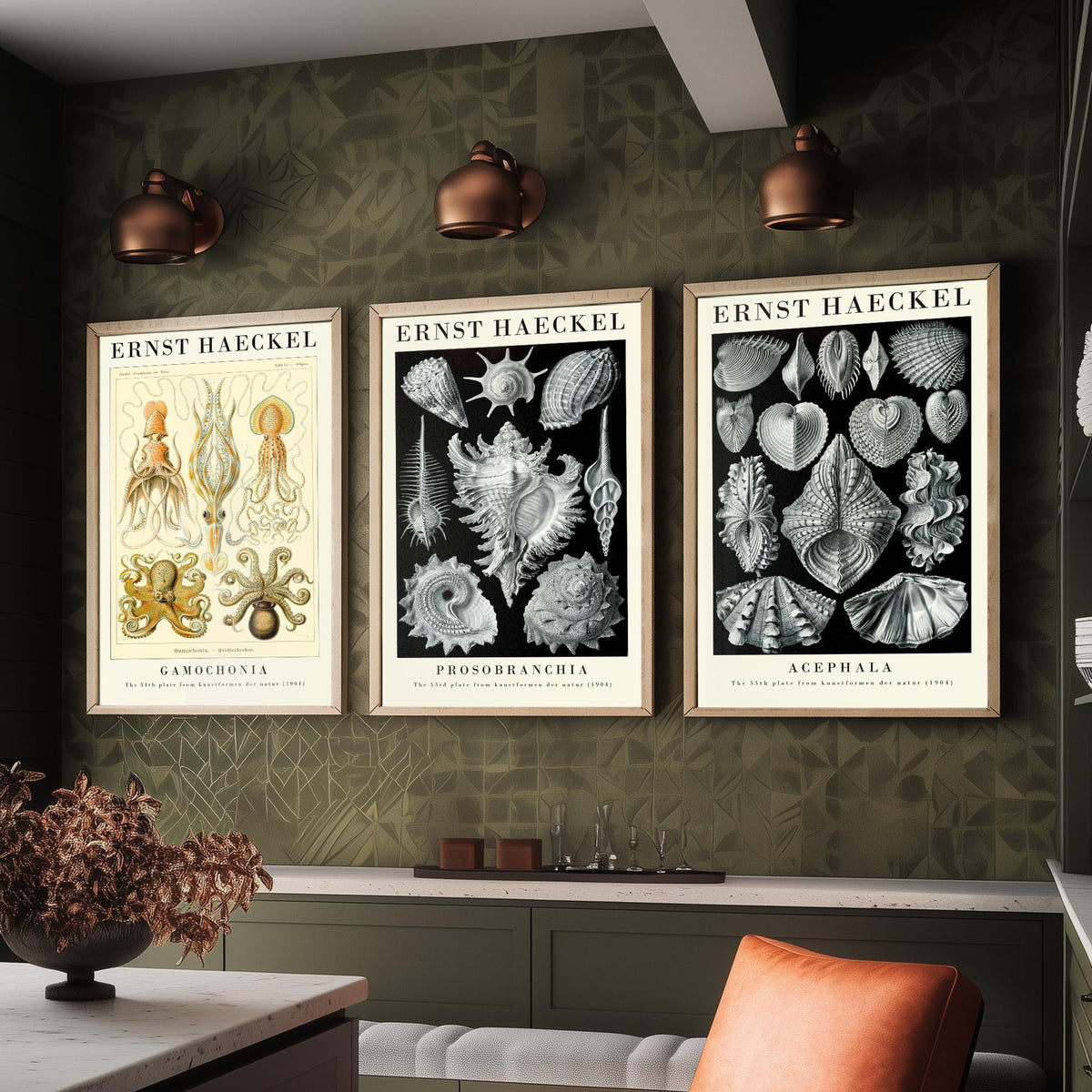 Ernst Haeckel Set of Three Gallery Art Prints - 3 Squid Sea Snail Clam Posters - Vintage Cephalopod Seashell Illustration