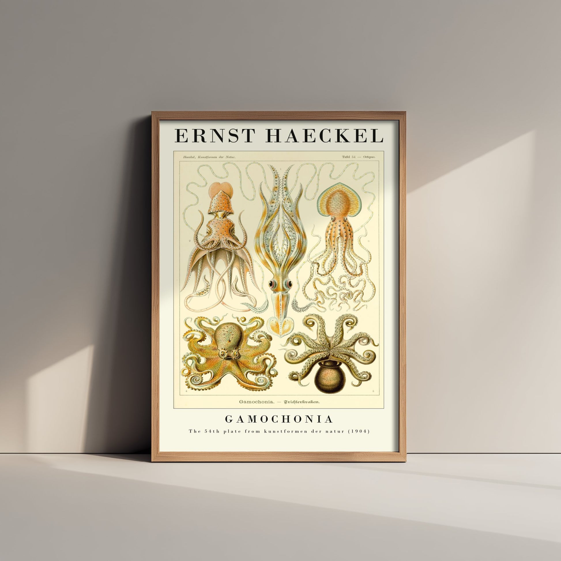 Octopus Art Print - Ernst Haeckel Poster - Gamochonia Plate 54 - Art Forms in Nature Vintage Illustration