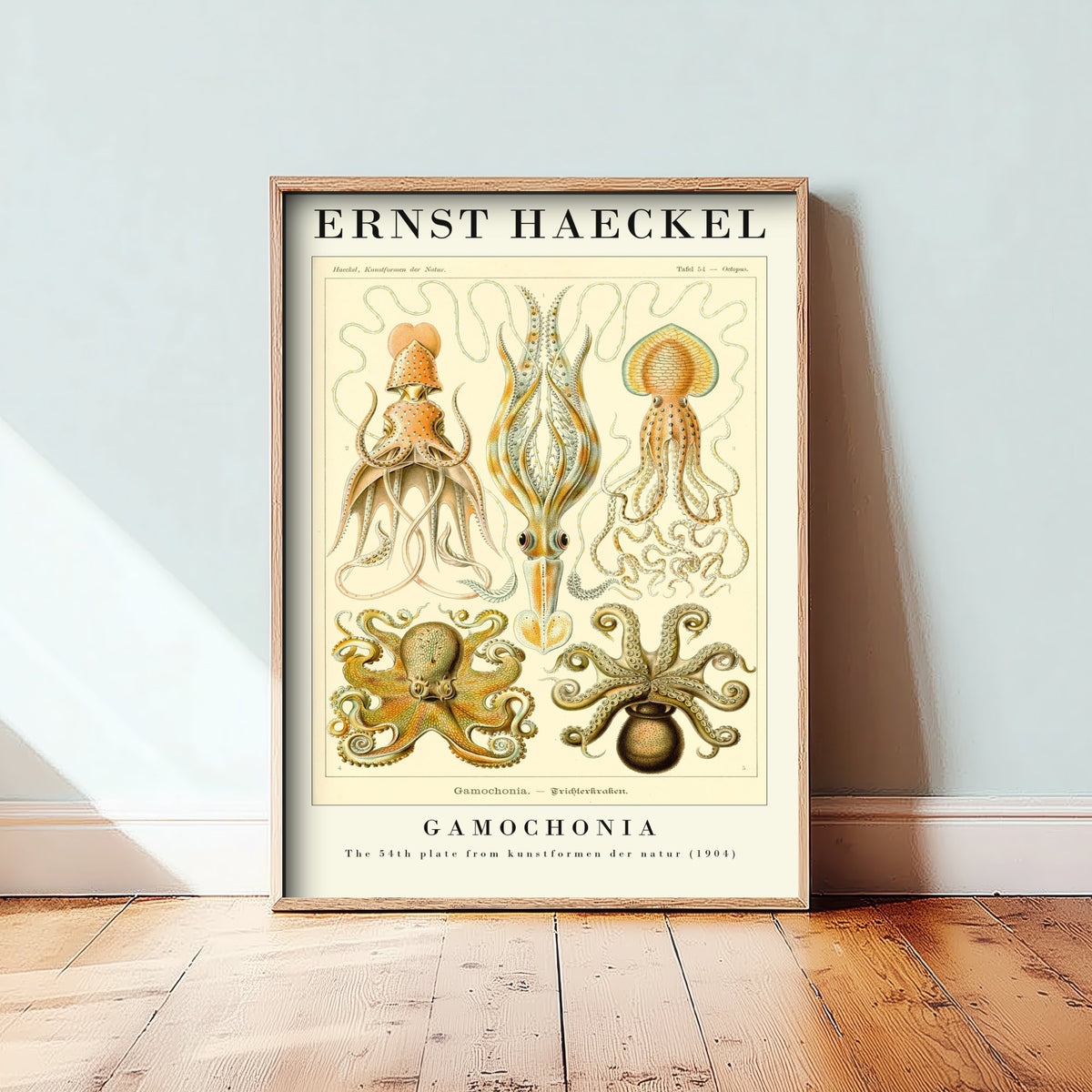 Octopus Art Print - Ernst Haeckel Poster - Gamochonia Plate 54 - Art Forms in Nature Vintage Illustration