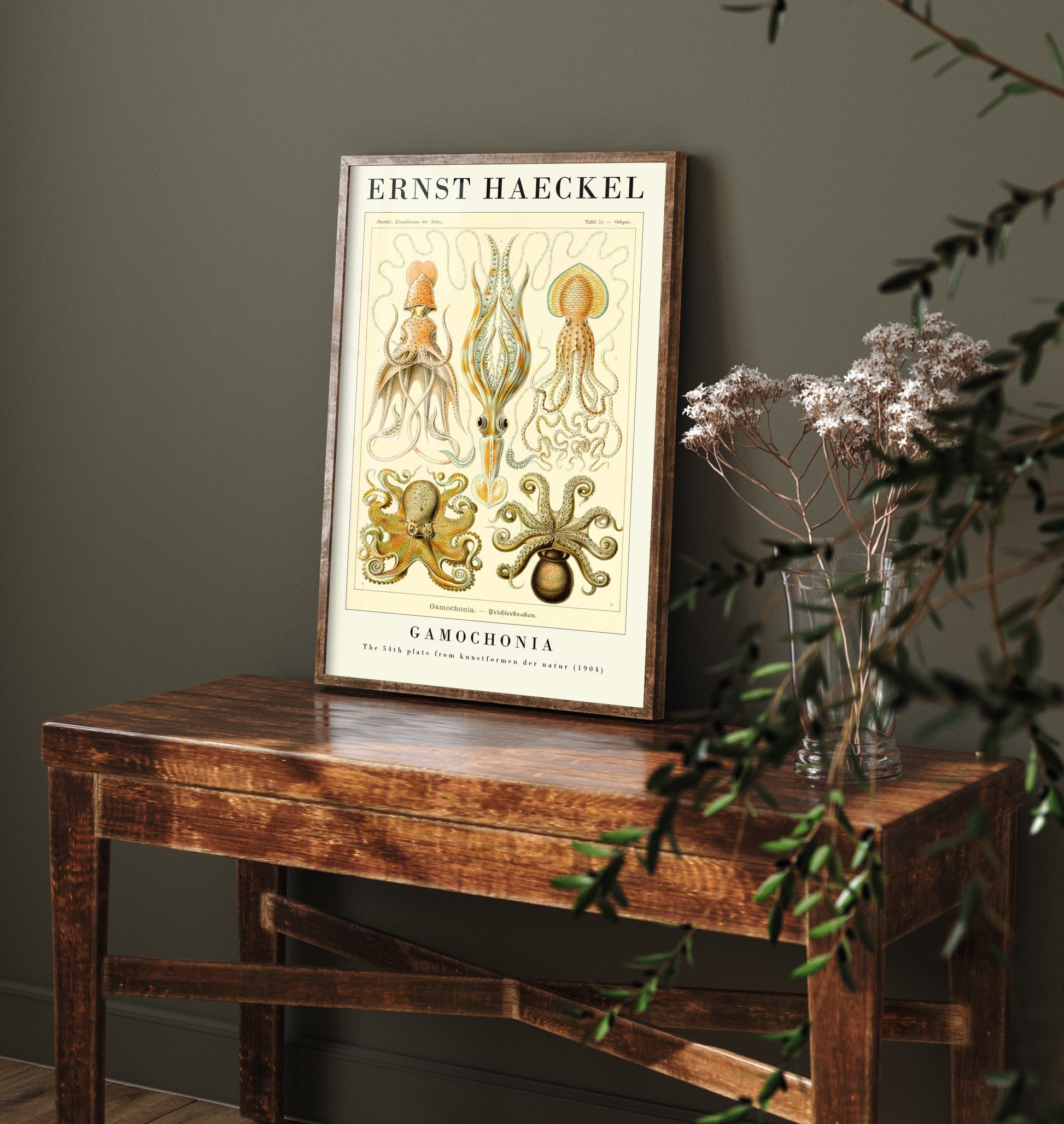 Octopus Art Print - Ernst Haeckel Poster - Gamochonia Plate 54 - Art Forms in Nature Vintage Illustration