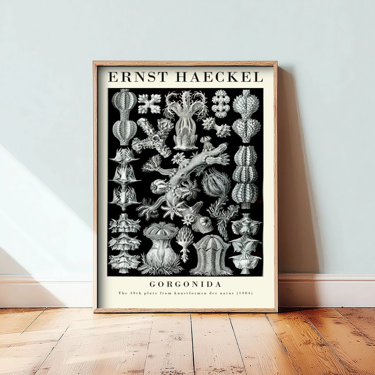 Sea Fans Art Print - Ernst Haeckel Poster - Gorgonida Plate 39 - Art Forms in Nature Vintage Illustration