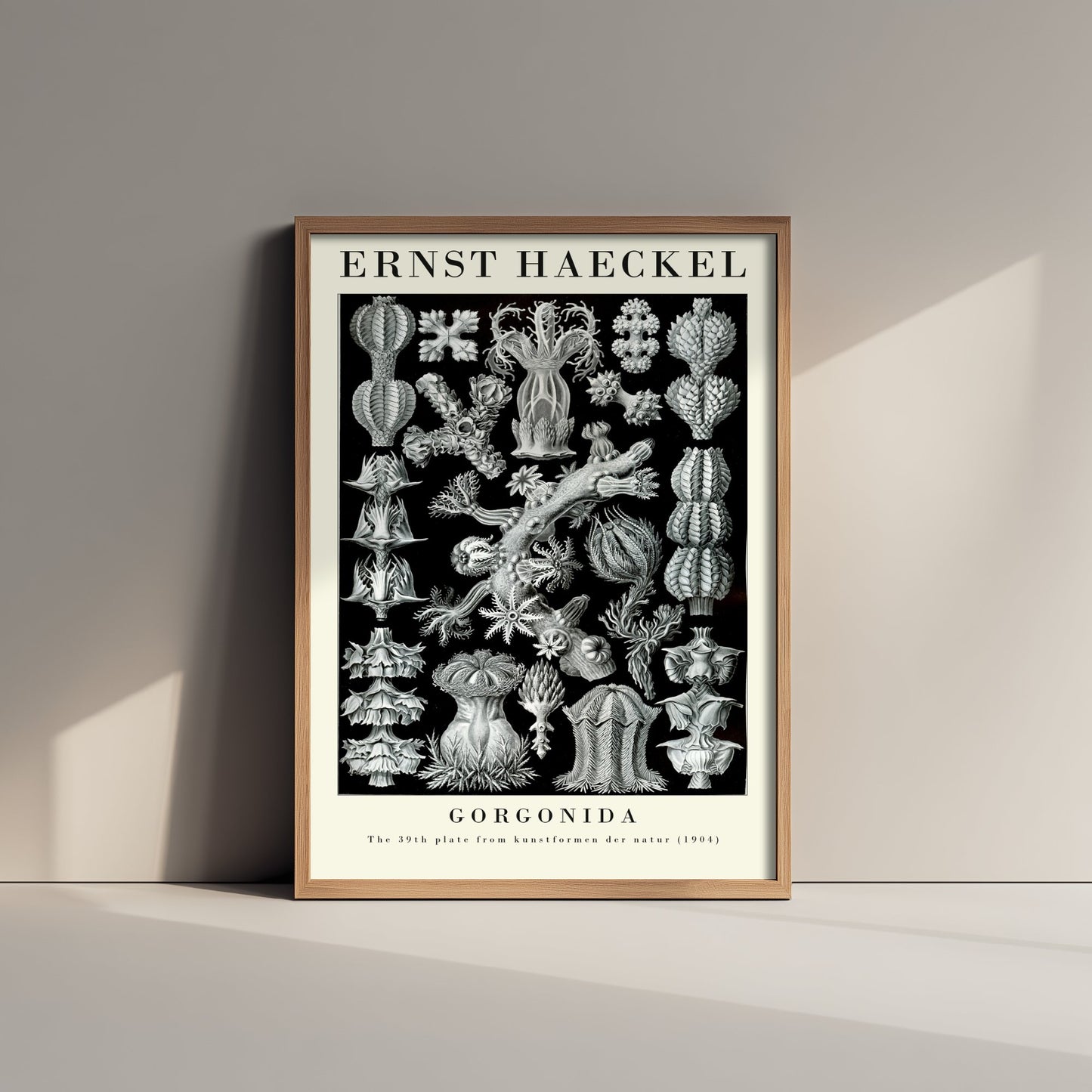 Sea Fans Art Print - Ernst Haeckel Poster - Gorgonida Plate 39 - Art Forms in Nature Vintage Illustration