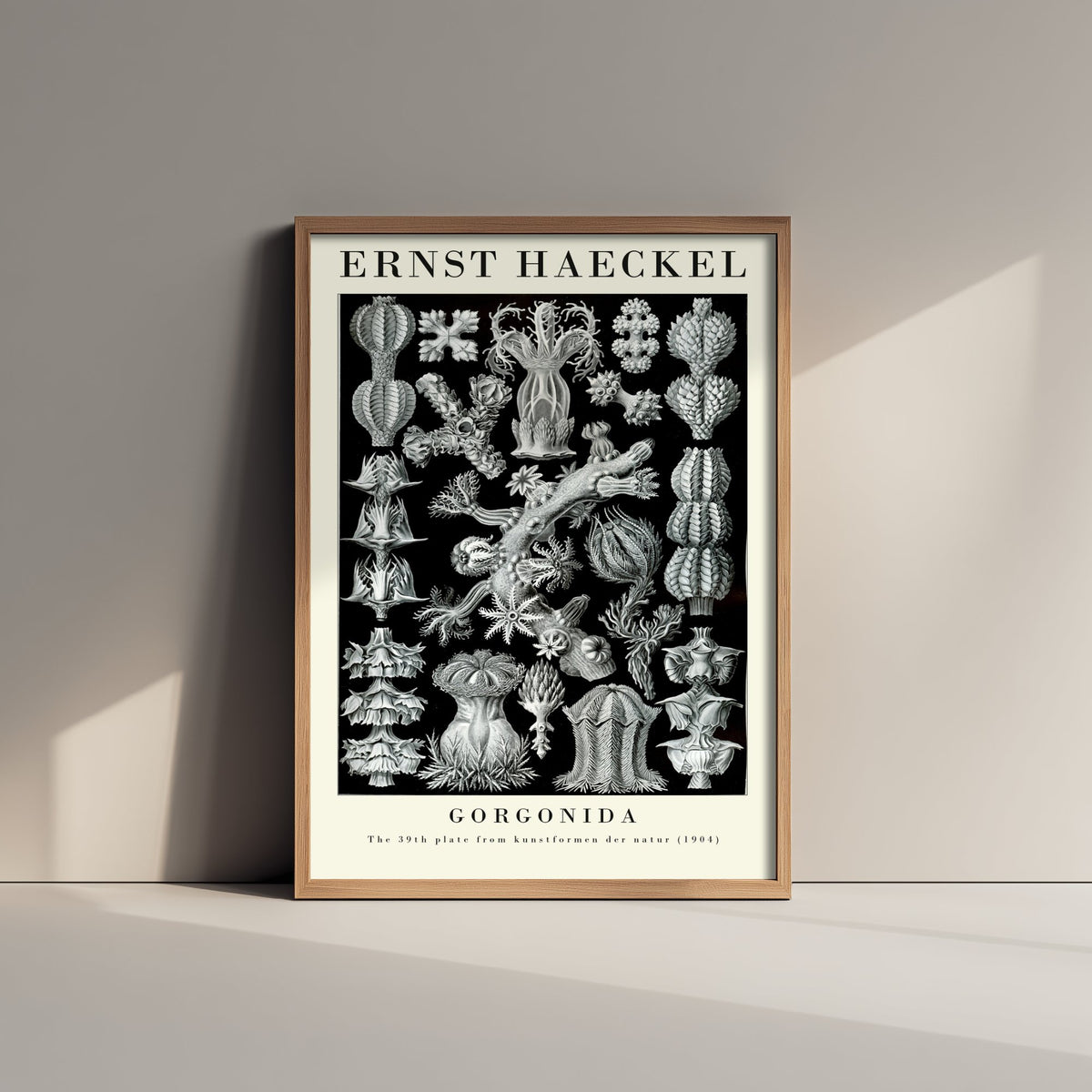 Sea Fans Art Print - Ernst Haeckel Poster - Gorgonida Plate 39 - Art Forms in Nature Vintage Illustration