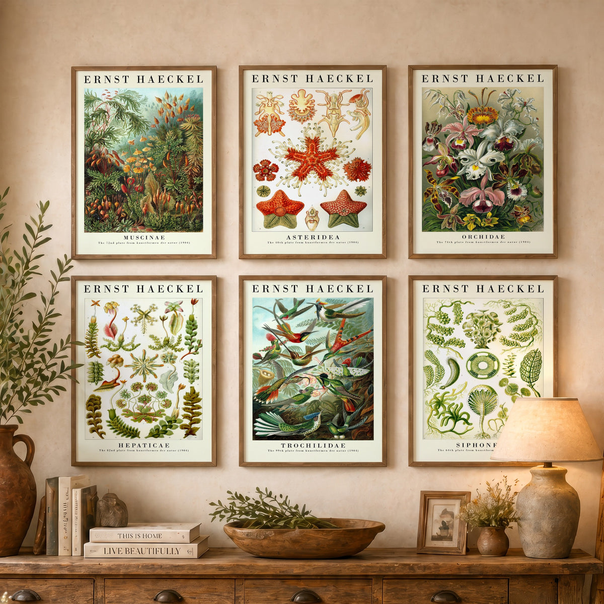 Set of Six Ernst Haeckel Art Prints - 6 Kunstformen der Natur Posters - Moss, Starfish, Orchid, Liverwort, Hummingbird, Algae Illustration